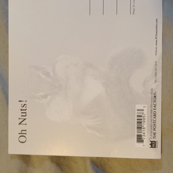 Canada Squirrel Postcard 3 for $10 - Picture 3 of 4